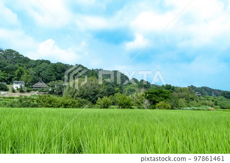Satoyama's view 97861461