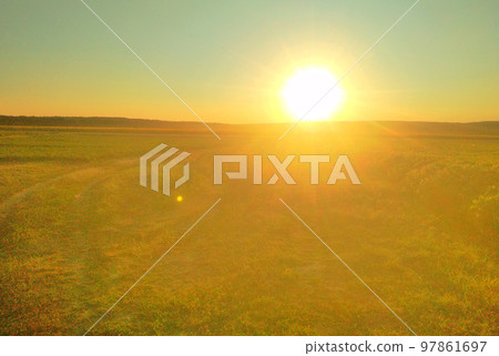 Ripe ears of wheat. Natural yellow background or texture. Close-up. Cereal crop is ready for picking. Ripe ears of wheat. Natural yellow background or texture. Close-up. Cereal crop is ready for picking. 97861697