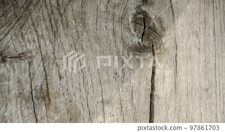 Close up of knotted dead tree trunk Close up of knotted dead tree trunk 97861703