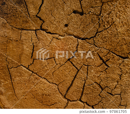 beautiful cut tree trunk with annual rings and cracks. wood texture background 97861705
