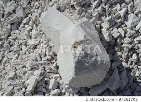 A belemnite fossil in a chalk quarry. Belemnites. Fossils from prehistoric times today. Ancient fossils. Chalk stone A belemnite fossil in a chalk quarry. Belemnites. Fossils from prehistoric times today. Ancient fossils. Chalk stone 97861709