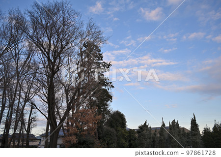 Musashino coppice and the beauty of twilight Musashino coppice and the beauty of twilight 97861728