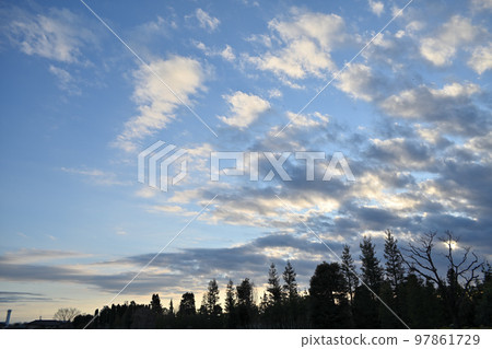 Musashino coppice and the beauty of twilight Musashino coppice and the beauty of twilight 97861729