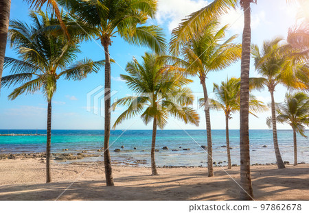 Beautiful Caribbean beach with coconut palm trees on a sunny day. Beautiful Caribbean beach with coconut palm trees on a sunny day. 97862678