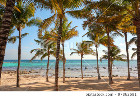 Beautiful beach with coconut palm trees on a sunny day. Beautiful beach with coconut palm trees on a sunny day. 97862681