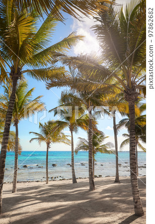 Beautiful beach with coconut palm trees on a sunny day. Beautiful beach with coconut palm trees on a sunny day. 97862682