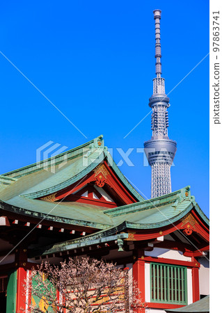 東京都江東區龜戶天神社梅花節 97863741