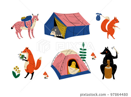 Lynx, squirrel, hedgehog, fox, wolf forest animals hiking on nature set cartoon vector illustration Lynx, squirrel, hedgehog, fox, wolf forest animals hiking on nature set cartoon vector illustration 97864480