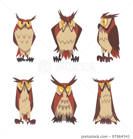 Emotional owls set. Brown owl characters with funny face expression cartoon vector illustration 97864541