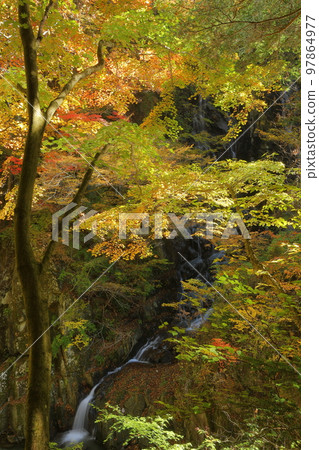 山梨縣山梨市三富上鐮口 吹吹川上的瀑布 Ichinokama 瀑布 流過 Kama 旁邊的 Kamazawa 瀑布的秋葉 山梨縣山梨市三富上鐮口 吹吹川上的瀑布 Ichinokama 瀑布 流過 Kama 旁邊的 Kamazawa 瀑布的秋葉 97864977