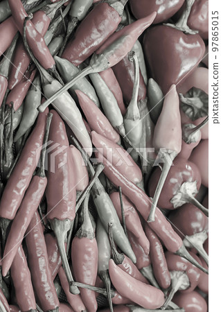 pattern tinted chili peppers hot mini pod vertical background pattern tinted chili peppers hot mini pod vertical background 97865015