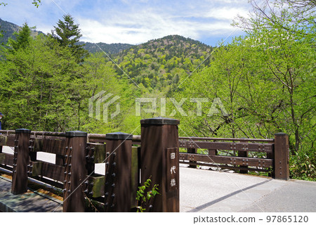 鮮綠的上高地【田代橋】 97865120