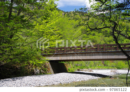 鮮綠的上高地【田代橋】 97865122