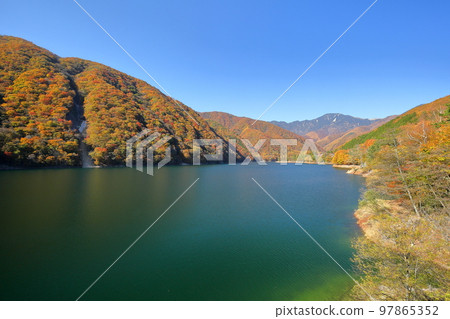 Mitomi, Yamanashi City, Yamanashi Prefecture Autumn leaves on the lakeside surrounding Hirose Dam Lake 97865352