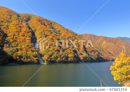 山梨縣山梨市三富 廣瀨水壩湖畔的秋葉 山梨縣山梨市三富 廣瀨水壩湖畔的秋葉 97865354