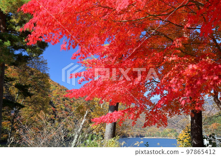 山梨縣山梨市三富市：廣瀨水壩廣瀨湖畔紅葉楓葉的景色 97865412