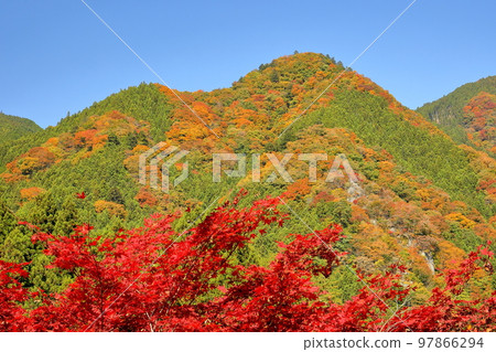 埼玉縣秩父市大瀧道之站大瀧溫泉紅楓和山葉 97866294