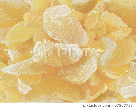 A hand-drawn illustration of a fresh and delicious realistic taste of peeled pomelo 97867732