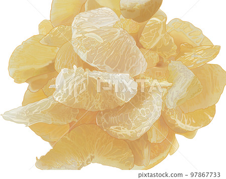 去皮半白玉清新可口手繪插畫 去皮半白玉清新可口手繪插畫 97867733