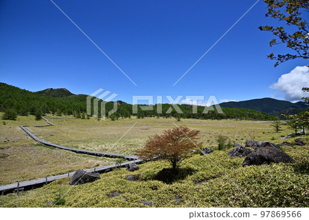 Ikenotaira marsh scenery with a wooden path 97869566