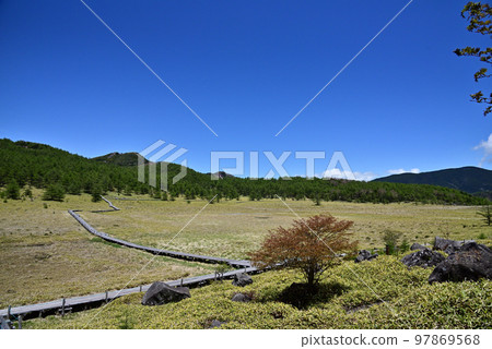 Ikenotaira marsh scenery with a wooden path 97869568
