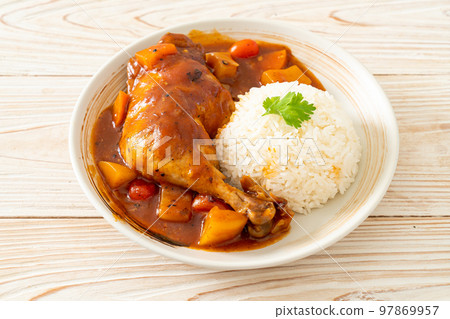 chicken stew with tomatoes, onions, carrot and potatoes on plate with rice 97869957