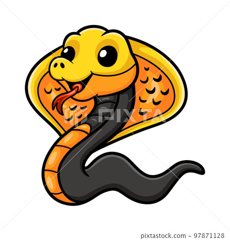 Cute philippines cobra cartoon (Naja samarensis) 97871128