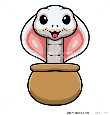 Cute leucistic cobra snake cartoon 97871134