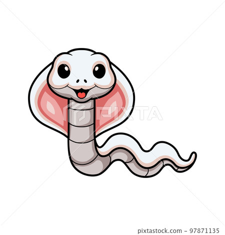 Cute leucistic cobra snake cartoon 97871135