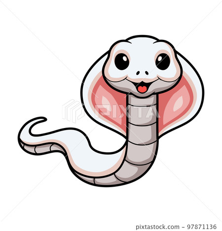 Cute leucistic cobra snake cartoon 97871136