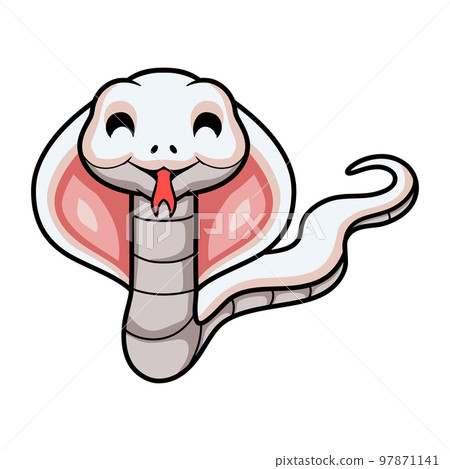 Cute leucistic cobra snake cartoon 97871141