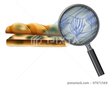 Inedible bread with mould Inedible bread with mould 97871569