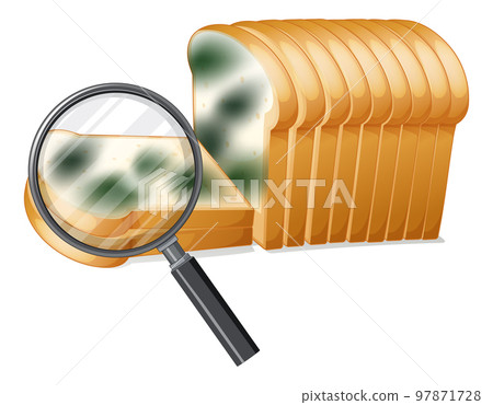 Inedible bread with mould Inedible bread with mould 97871728