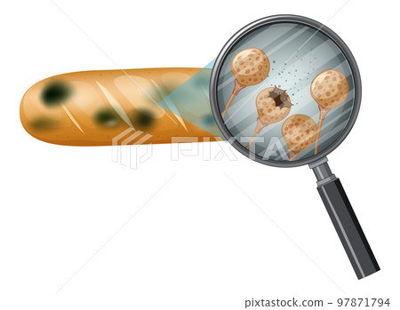 Inedible bread with mould 97871794