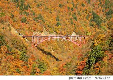 Otaki, Chichibu City, Saitama Prefecture View of Mameyaki Bridge and Takigawa Valley autumn foliage from Karizaka Ohashi Bridge on Saikai Highway 97872136