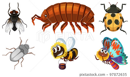 Set of different kinds of insects 97872635