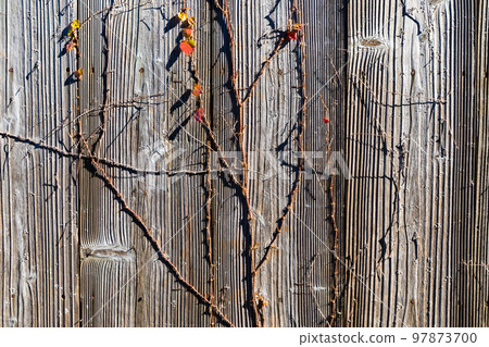 Nanatsuume Sake Brewery Site, Fukaya City, Saitama Prefecture Nanatsuume Sake Brewery Site, Fukaya City, Saitama Prefecture 97873700