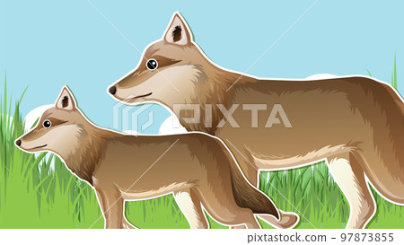 Mother and baby wolf background 97873855