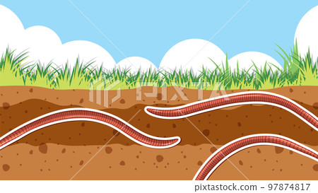 Background of earthworm in soil Background of earthworm in soil 97874817