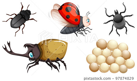Collection of different insects vector Collection of different insects vector 97874829