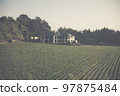 Large white farm mansion on a rural farmland Large white farm mansion on a rural farmland 97875484