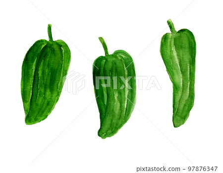 手繪水彩山科胡椒插畫 97876347