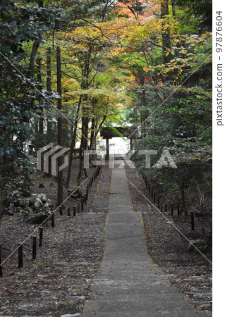 The stone path leading down to the front gate of Yamadera The stone path leading down to the front gate of Yamadera 97876604