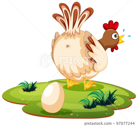Cute chicken laying eggs Cute chicken laying eggs 97877244