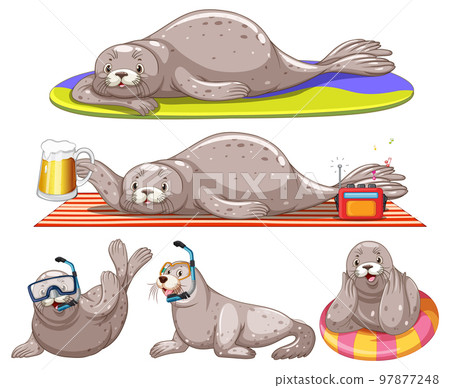Set of different seal cartoon characters Set of different seal cartoon characters 97877248
