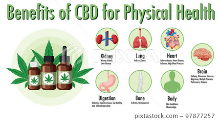 Benefits of CBD for physical health diagram Benefits of CBD for physical health diagram 97877257