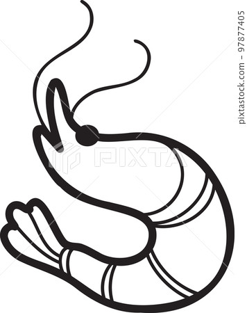 Hand Drawn boiled shrimp or Thai food illustration Hand Drawn boiled shrimp or Thai food illustration 97877405