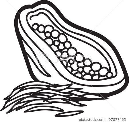 Hand Drawn papaya illustration 97877465