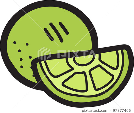 Hand Drawn lemon or lime illustration 97877466