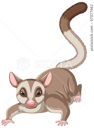 A cute cute sugar glider cartoon character A cute cute sugar glider cartoon character 97877662